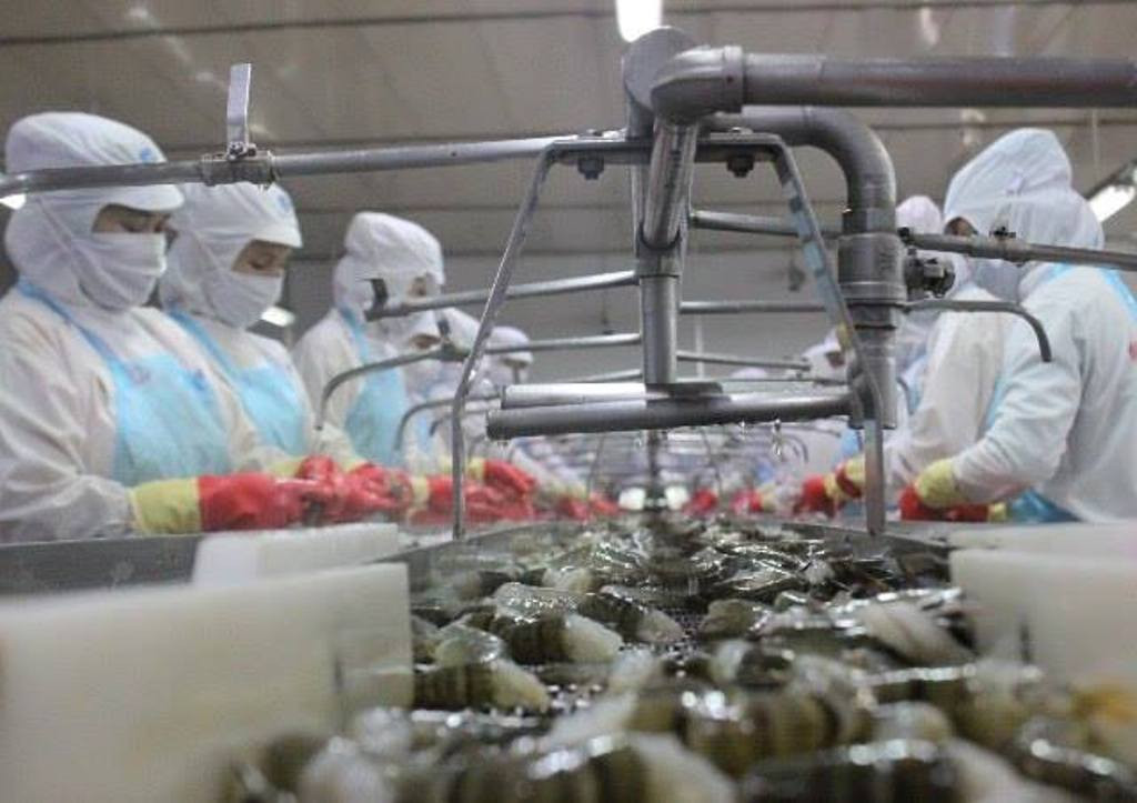 Hàng Việt Nam không nên gian lận xuất xứ để tránh bị trừng phạt ảnh 2