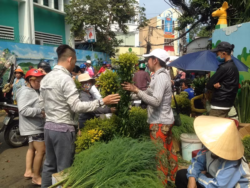 Hàng ngàn người chen chân ở chợ hoa sỉ lớn nhất Sài Gòn ảnh 4