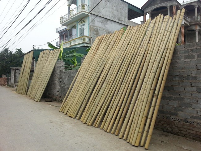 Tre, gỗ từ Cao Bằng, Hoà Bình nhập về được phơi khắp đường phố làng Vác. Ảnh: Phương Nhung. Tre, gỗ từ Cao Bằng, Hoà Bình nhập về được phơi khắp đường phố làng Vác. Ảnh: Phương Nhung