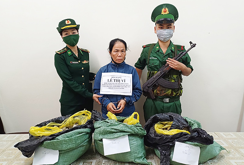 Đối tượng Lê Thị Vi