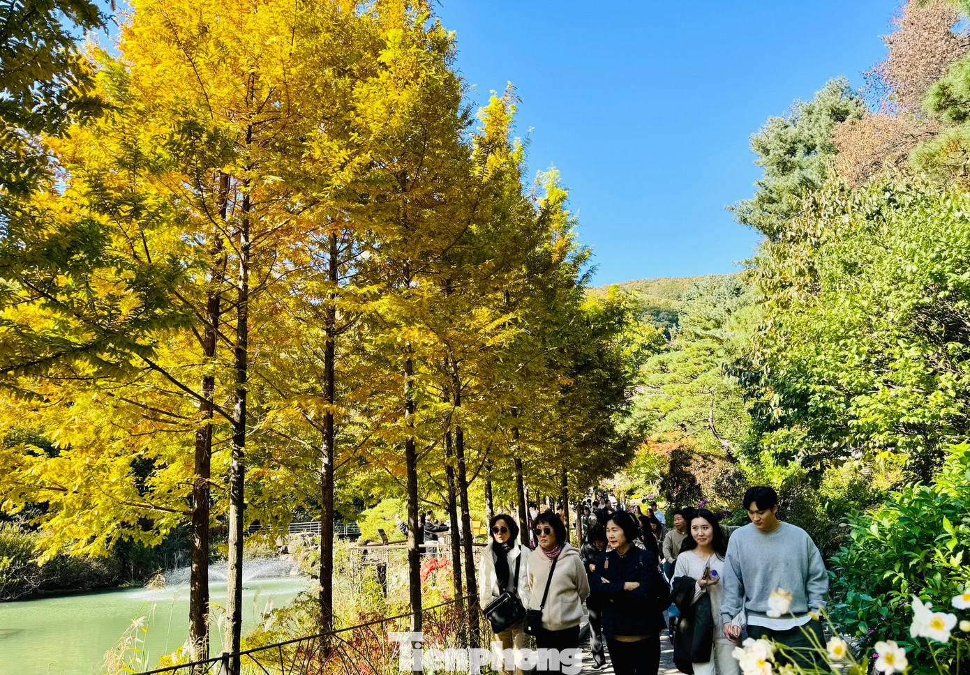 Rừng Hwadam nằm ở tỉnh Gyeonggi-do, cách thủ đô Seoul khoảng 40 phút lái xe, khoảng 2 tiếng di chuyển bằng xe buýt hoặc tàu điện ngầm, là một trong những nơi đẹp nhất ở Hàn Quốc khi tiết trời sang thu.