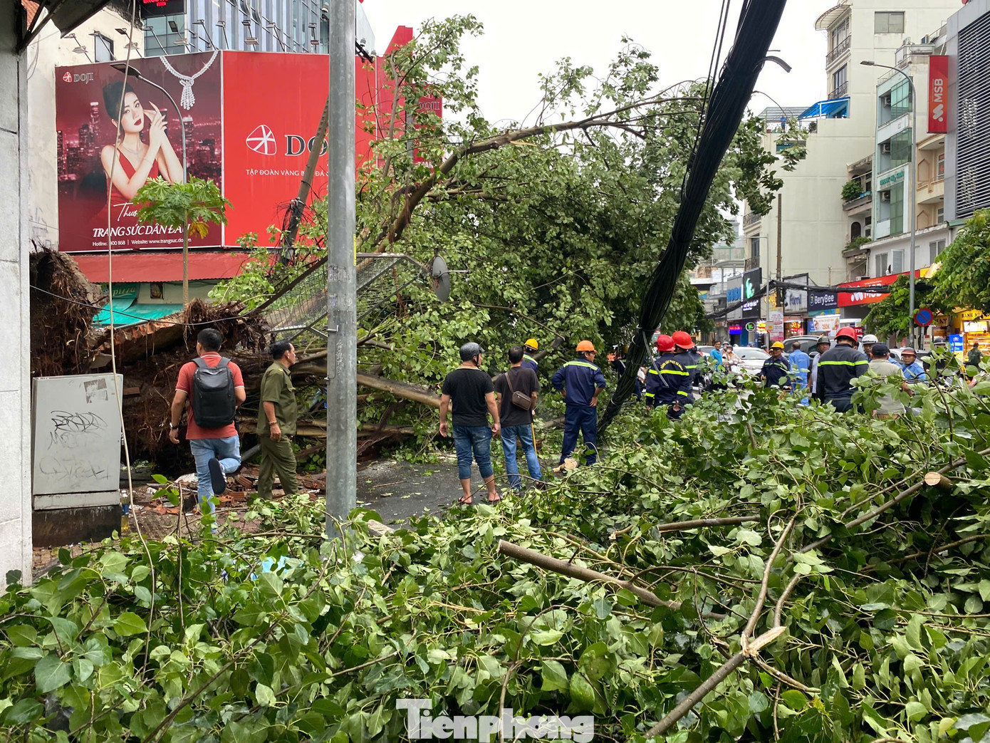 Một cây xanh có kích thước lớn ở góc đường Nguyễn Thị Diệu - Cách Mạng Tháng Tám (quận 3) cũng bị bật gốc trong cơn &quot;cuồng phong&quot; chiều 4/9.