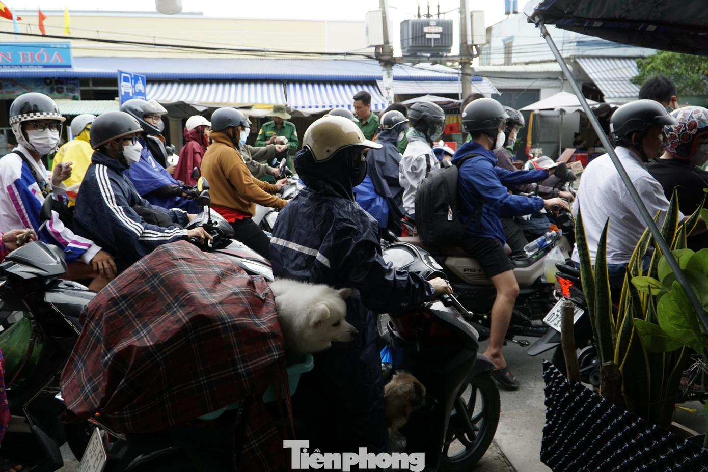 Người dân lỉnh kỉnh đồ đạc, có người mang theo cả thú cưng len lỏi giữa dòng xe đông đúc chờ đến lượt xuống phà.