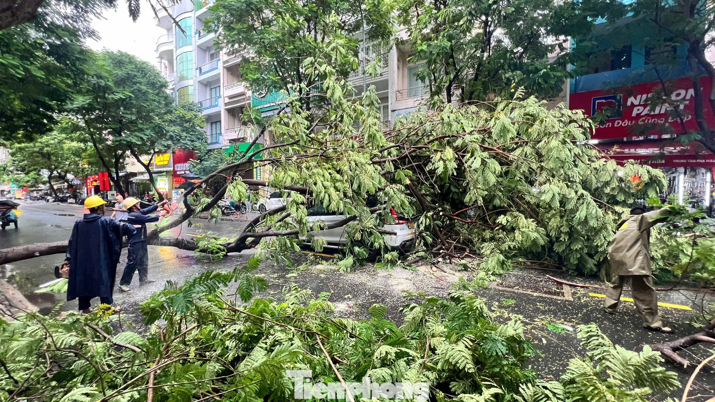 Tại đường Calmette (phường Nguyễn Thái Bình, quận 1), một cây xanh đổ ra đường đè xe ô tô đang lưu thông. May mắn, vụ việc không gây thương tích về người.