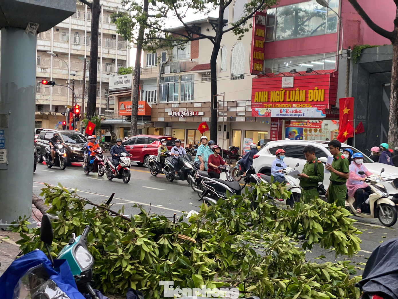 Cây xanh gãy nhánh, rơi trúng người đi đường vào chiều 4/9 tại quận 5.