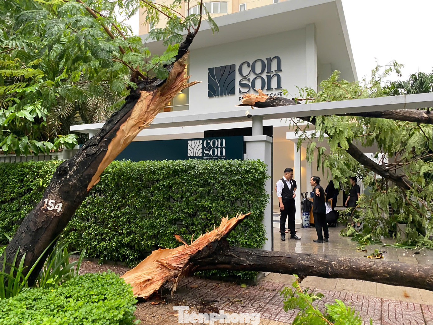 Khoảng hơn 15 giờ chiều 4/9, TPHCM có mưa lớn kèm hiện tượng gió giật mạnh làm nhiều cây xanh bị gãy, đổ. Trong ảnh: Cây xanh số 154 trên đường Trần Quốc Thảo (quận 3) bị tét nhánh, gãy đè về phía một ngôi nhà.