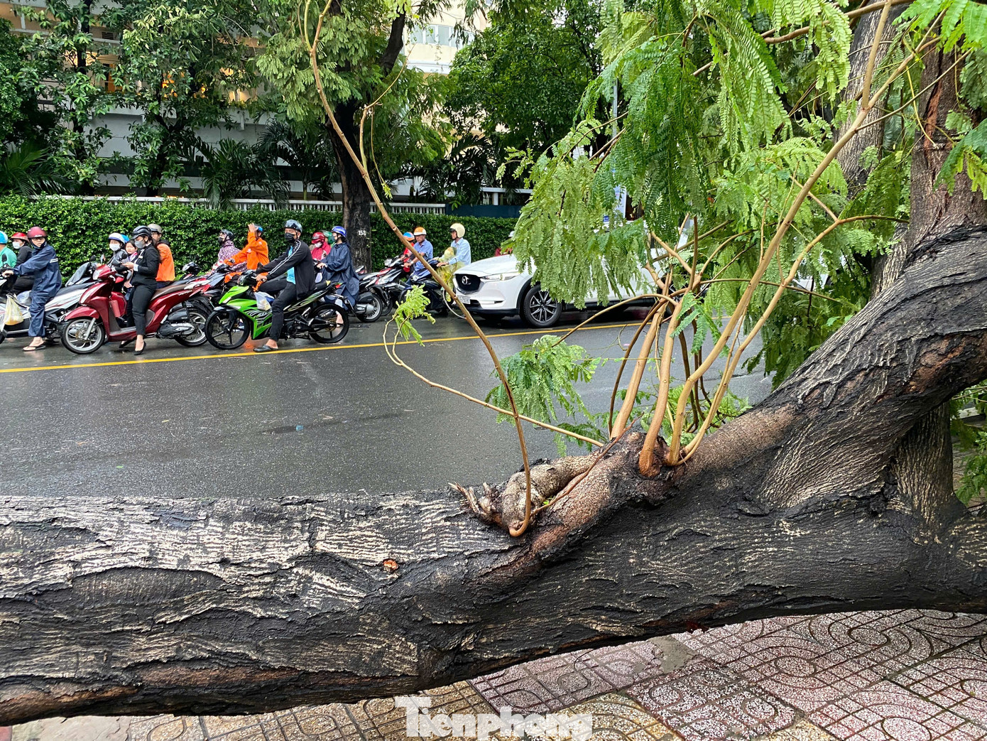 Rất may mắn, thời điểm xảy ra vụ việc, khu vực không có người qua lại