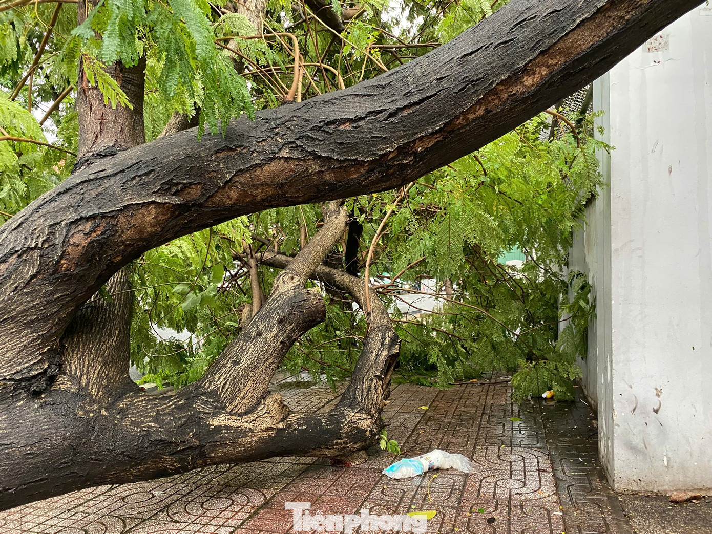 Rất may mắn, thời điểm xảy ra vụ việc, khu vực không có người qua lại