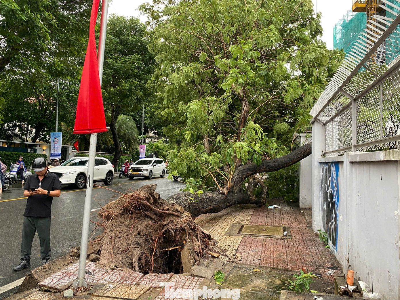 Cách đó không xa, một cây xanh trên đường Trần Quốc Thảo (đoạn giao với đường Lý Chính Thắng, quận 3) bị bật gốc, gãy đè về phía cổng một ngôi nhà.