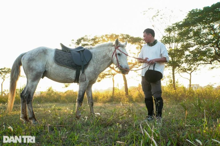 Cánh đồng cỏ ở huyện Hoài Đức là một lợi thế cho CLB Ngựa Hà Nội khi chăm sóc, nuôi dưỡng ngựa ở đây.