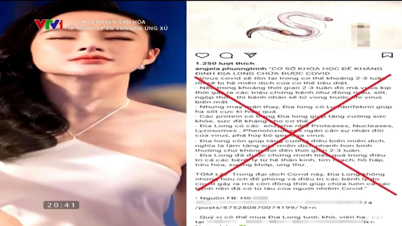 Angela Phương Trinh có nhiều bài viết lan truyền thông tin, quảng cáo địa long chữa COVID-19.