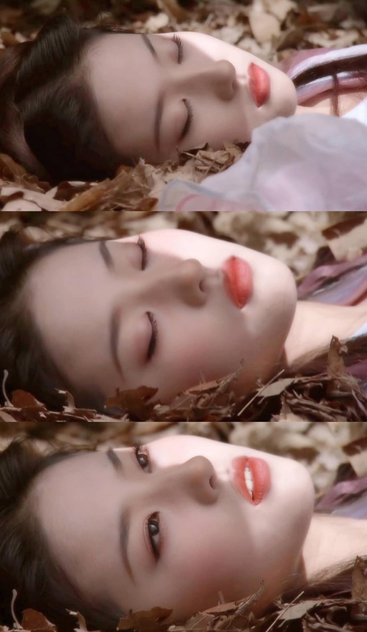 Nhờ lần thể hiện xuất sắc này, Lưu Diệc Phi tiếp tục có cơ hội hợp tác với đạo diễn Trương Kỷ Trung trong Thần Điêu Đại Hiệp (bản 2006) với vai Tiểu Long Nữ. Tên tuổi của Lưu Diệc Phi mau chóng lên như “diều gặp gió”, trở thành ngôi sao hàng đầu của làng giải trí Hoa ngữ.