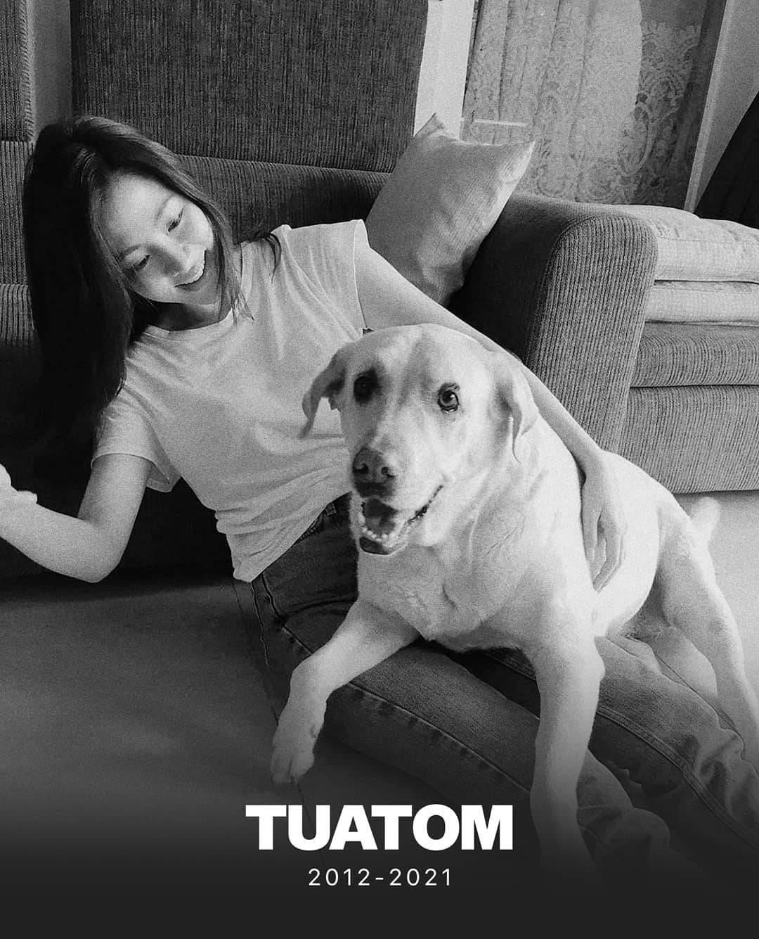 Đúng hai ngày trước sinh nhật lần thứ 29 của nữ diễn viên, chú chó cưng Tuatom của cô đã mất. Baifern tiễn biệt người bạn trung thành: “An nghỉ nhé, Tuatom... Hãy về miền cực lạc để tái ngộ cùng các bạn chó khác”.