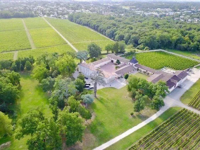 Điền trang Château Monlot nằm ở thành phố Bordeaux, rộng tới 7 héc ta và được vợ chồng “Én nhỏ” kỳ công tu sửa.