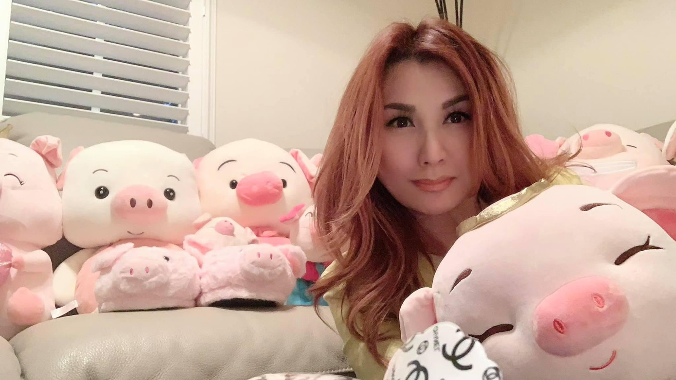 Phòng khách nhà Phương Loan có rất nhiều vật lưu niệm hình chú heo do người hâm mộ và cả cố nghệ sĩ Chí Tài tặng cô Phòng khách nhà Phương Loan có rất nhiều vật lưu niệm hình chú heo do người hâm mộ và cả cố nghệ sĩ Chí Tài tặng cô