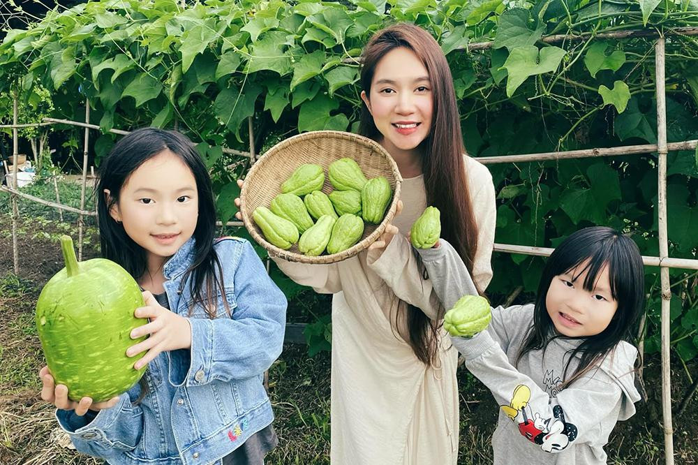 Gia đình anh tận hưởng cuộc sống bình yên, gần gũi với thiên anh. Lý Hải cho biết, anh dạy các con đóng bàn ghế, tưới nước, trồng rau…Tại đây, vợ chồng anh trồng rất nhiều loại rau củ, hoa quả.