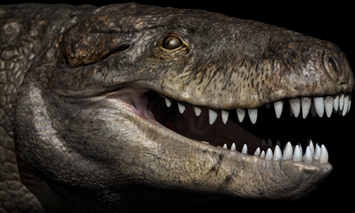 Cá sấu kỷ Jura dài 7 mét răng nhọn như khủng long bạo chúa ảnh 1