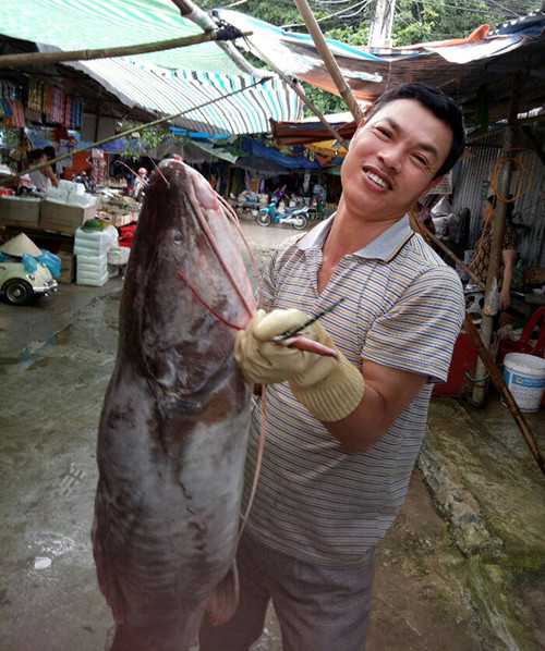 Người dân bắt được cá lăng hơn 20 kg ở Điện Biên ảnh 1