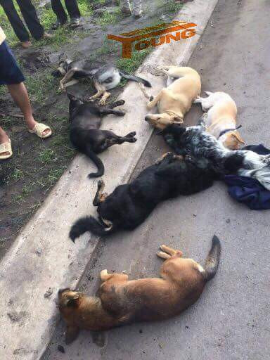 Hai cẩu tặc bị đánh, xe máy bị đốt cháy ảnh 1