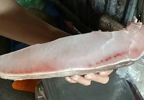 Người dân bắt được cá lăng hơn 20 kg ở Điện Biên ảnh 3