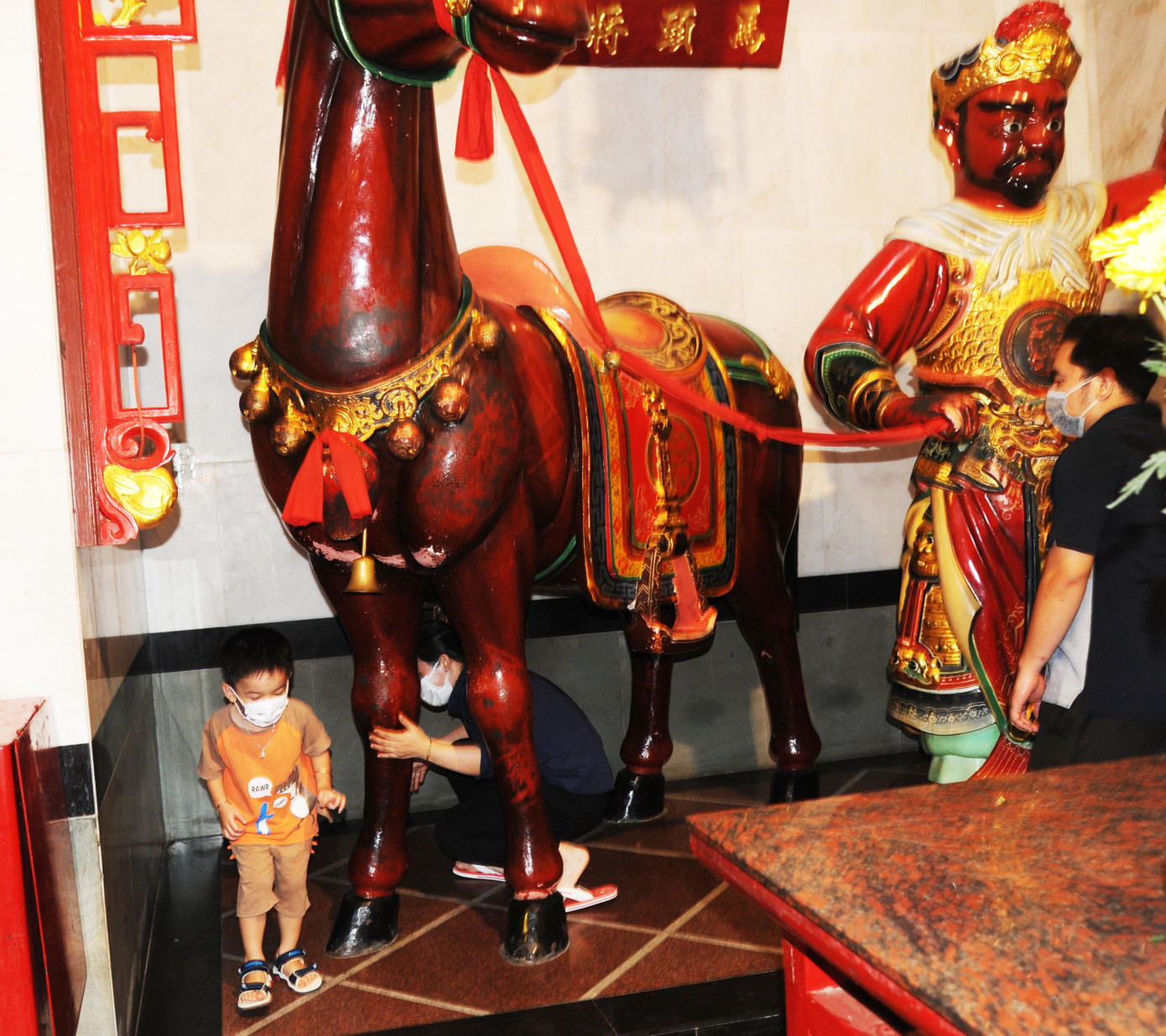 Cả nhà cùng chui bụng ngựa Cả nhà cùng chui bụng ngựa