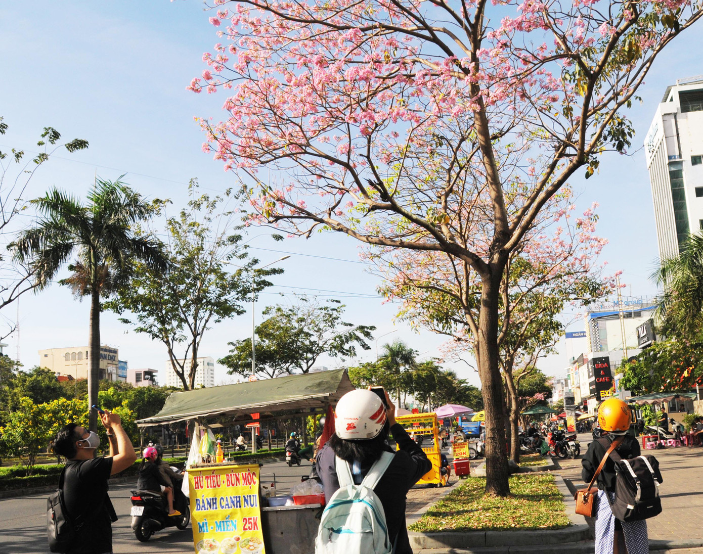 Một cây hoa có 3 bạn trẻ cùng săn ảnh bằng điện thoại