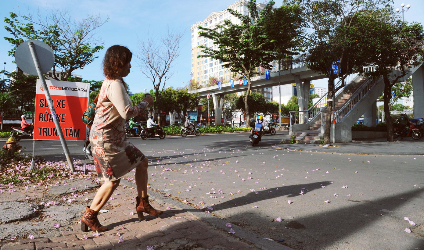 Hoa rơi tím cả đường phố