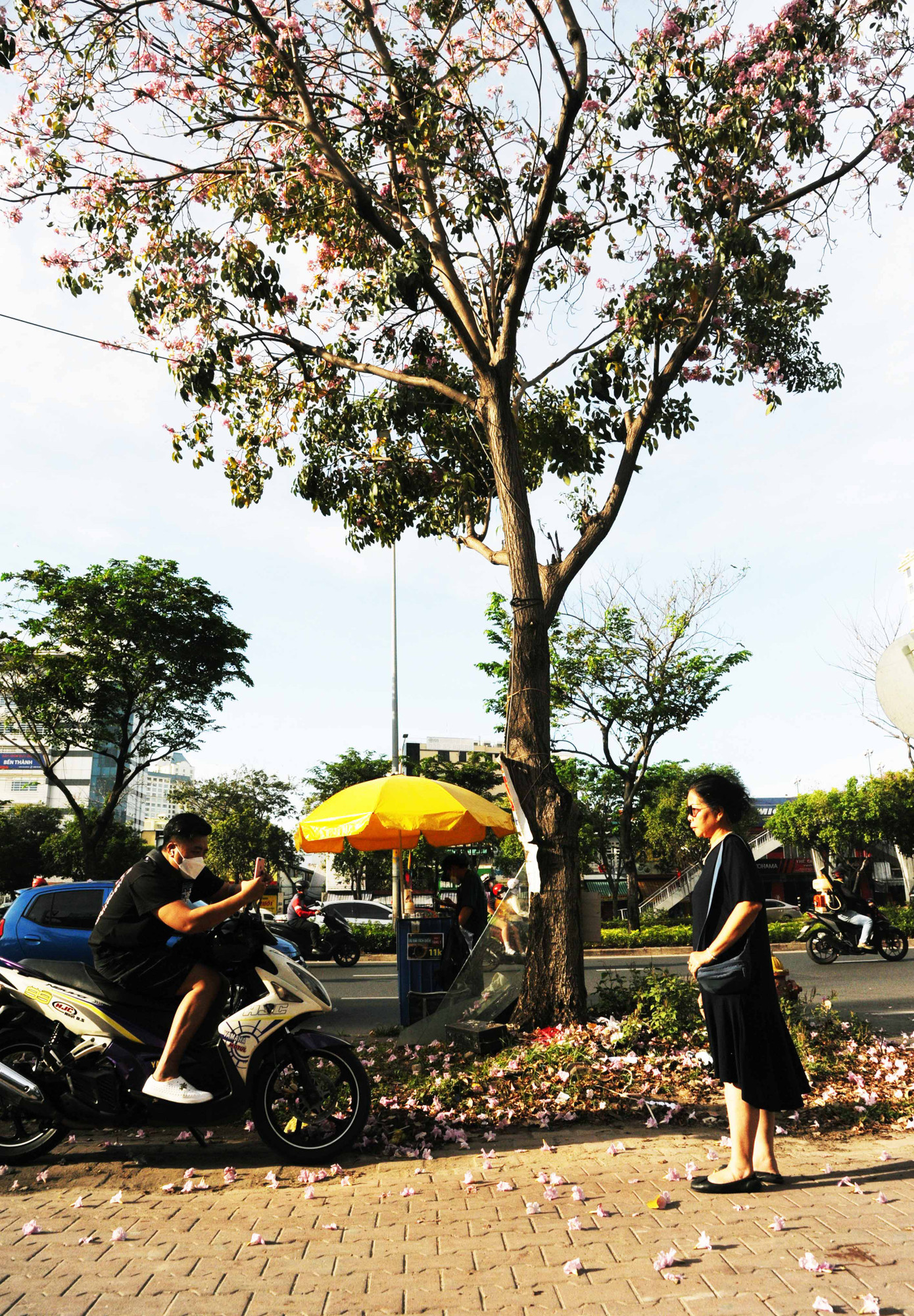 Chị Hưng, người Hà Nội cho biết: &quot;Tôi vào TPHCM chăm cháu, thấy hoa kèn hồng nở đẹp quá, nên tranh thủ ra phố, nhờ chụp giùm mấy kiểu ảnh để làm kỷ niệm&quot;.