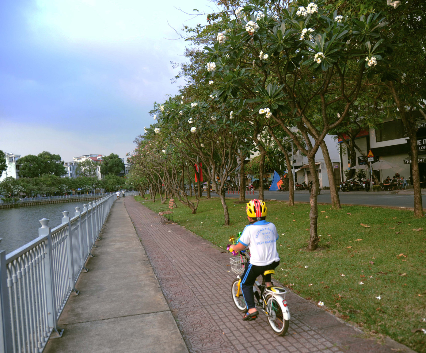 Một em bé phấn khích vì được bố đưa đến tập xe đạp dưới hàng cây