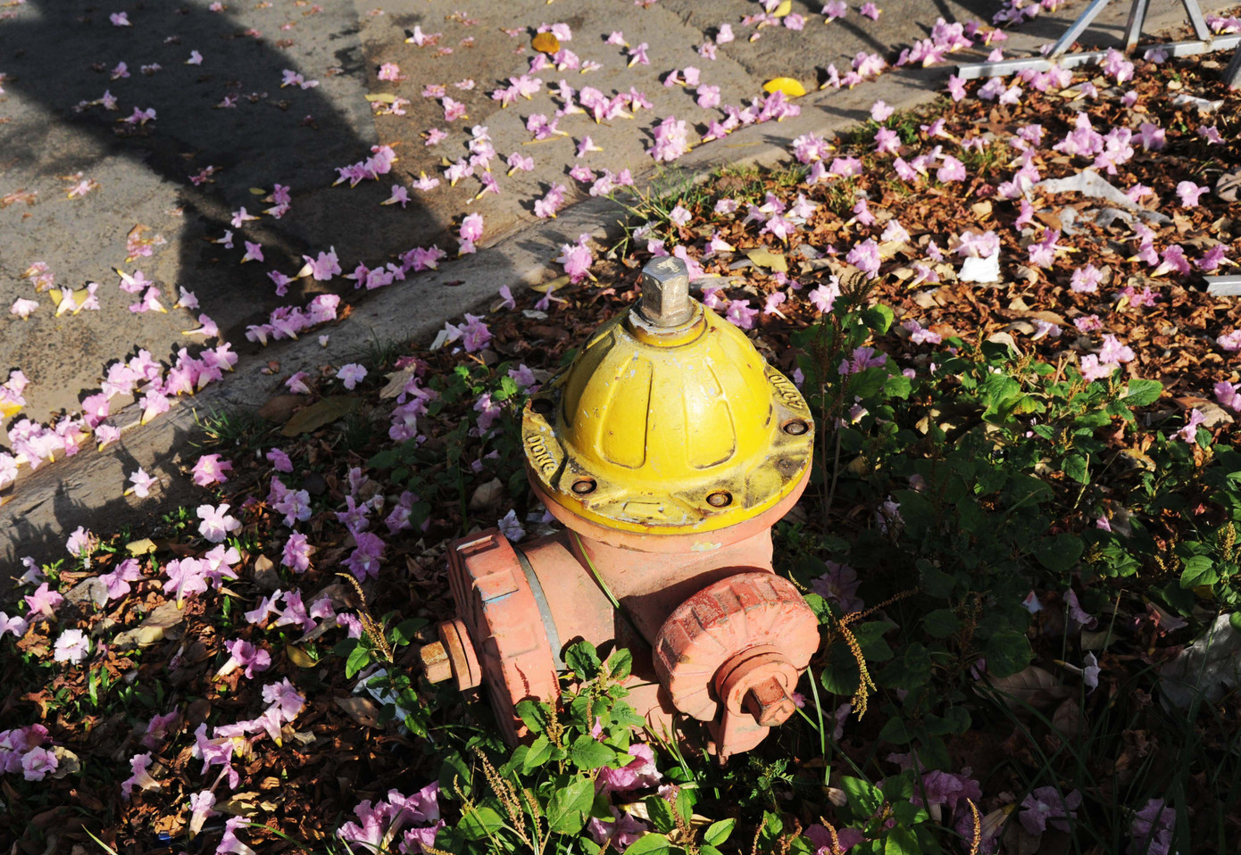 Một góc phố Điện Biên Phủ