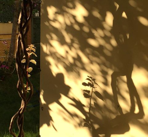 vợ chồng, ghen, ngoại tình, người thứ 3