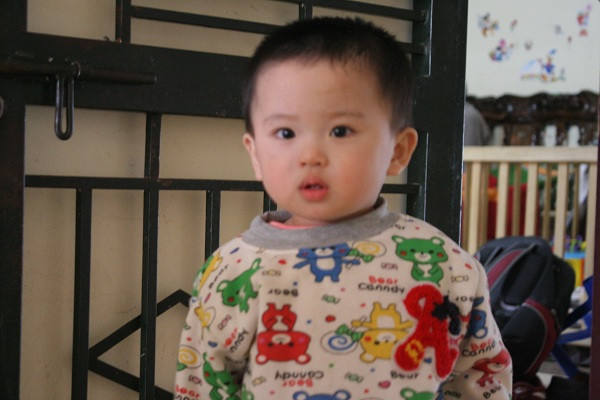 Gặp lại 2 bé sinh ra từ tinh trùng của người bố đã mất ở Hà Nội ảnh 1