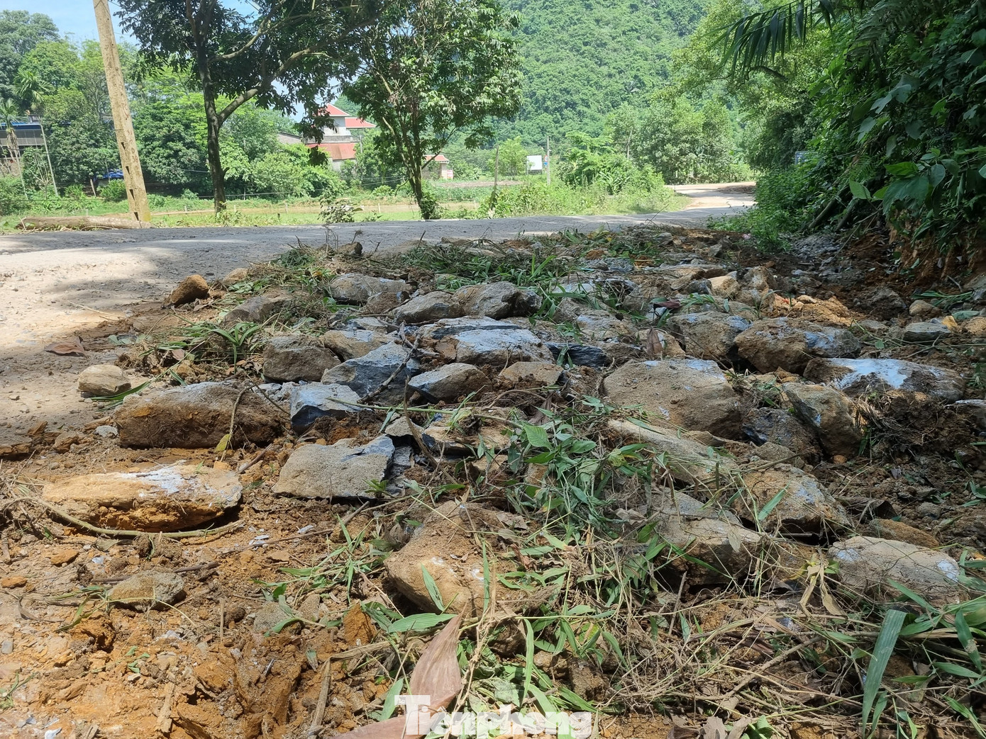 Doanh nghiệp đổ đất đá lởm chởm vá "ổ voi" để xe chở vật liệu lưu thông.