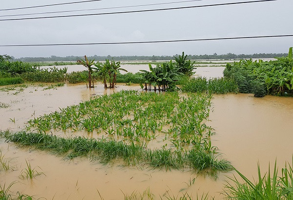 Áp thấp nhiệt đới di chuyển kỳ lạ, gây 'mưa chồng mưa' ở miền Bắc ảnh 1