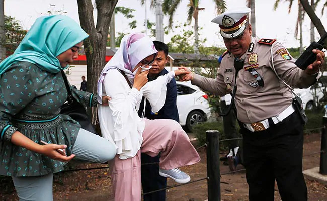 Indonesia xác nhận không ai sống sót trong vụ tai nạn máy bay ảnh 19