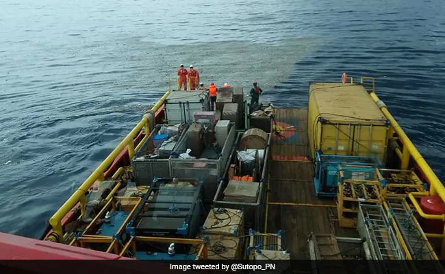 Indonesia xác nhận không ai sống sót trong vụ tai nạn máy bay ảnh 18