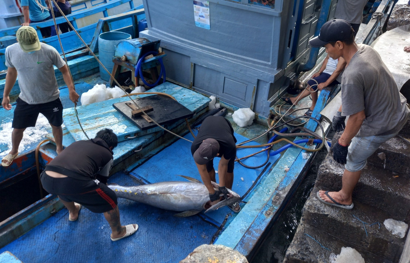 Ngư dân Khánh Hòa đánh bắt cá ngừ tại ngư trường quần đảo Trường Sa. Ngư dân Khánh Hòa đánh bắt cá ngừ tại ngư trường quần đảo Trường Sa.