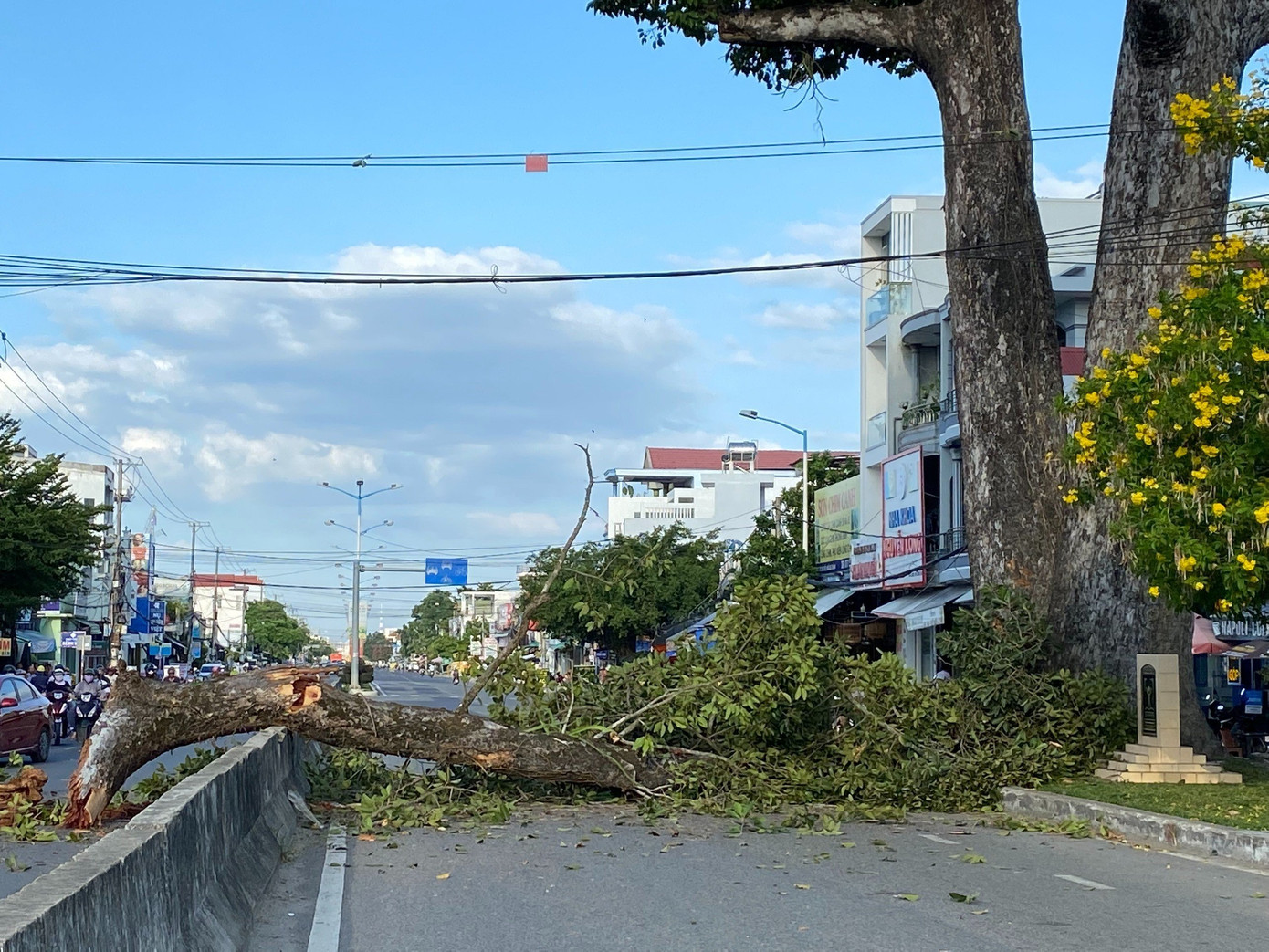 Cây Dầu Đôi bị gãy đổ nằm vắt ngang đường 23/10. Ảnh: L.H.