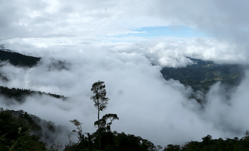 Những chùm mây nhuộm trắng núi rừng trên đỉnh Trường Sơn qua khu vực huyện Kỳ Sơn, Nghệ An