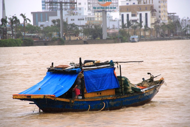 Những thuyền nhỏ, đánh bắt gần bờ tranh thủ mưu sinh. Theo các ngư dân thời tiết sau bão, rất dễ đánh bắt, thu lợi cao
