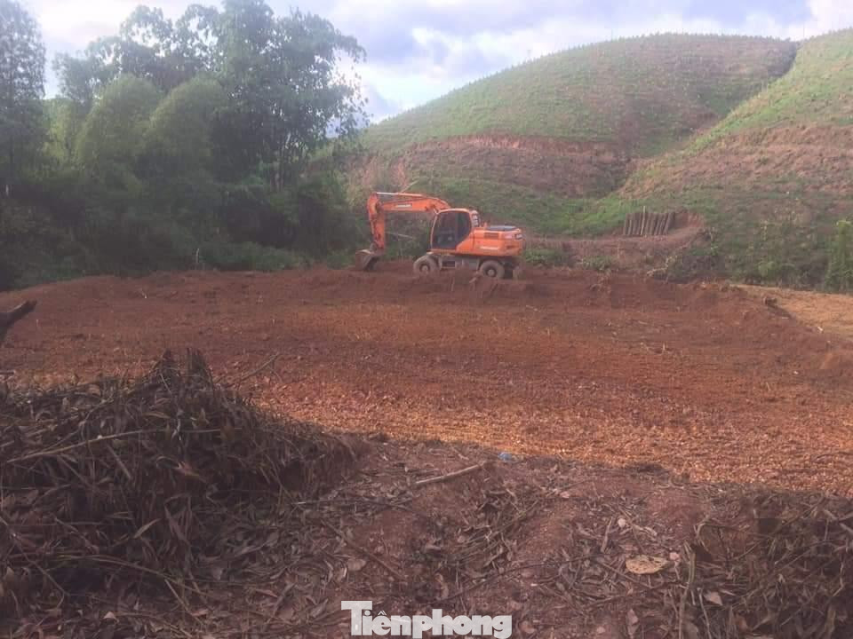 Thủ tướng Chính phủ yêu cầu chấn chỉnh tình trạng và xử lý nghiêm các trường hợp san ủi đồi núi để phân lô, bán nền, xây dựng trên đất rừng trái quy định của pháp luật.