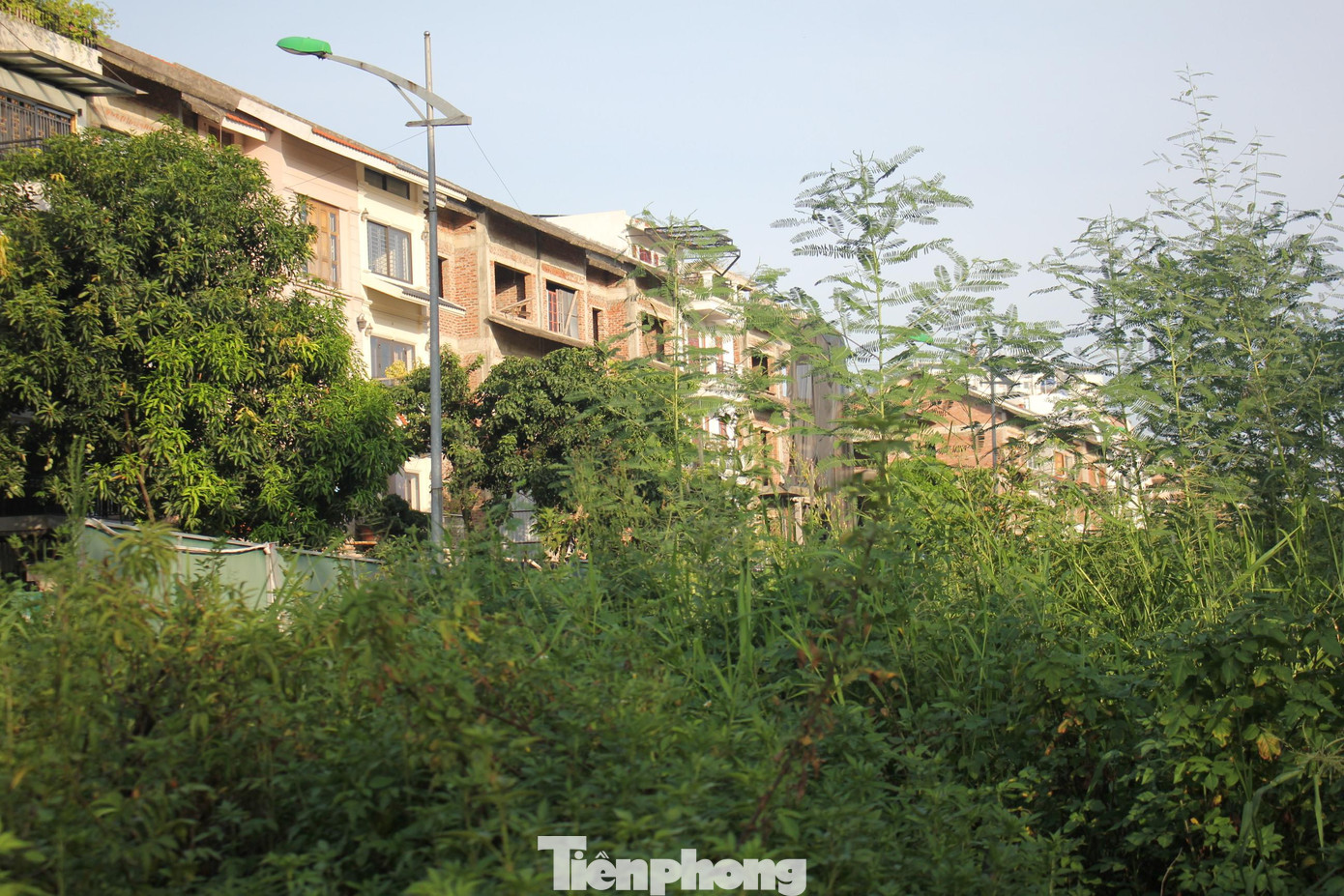 Kiểm toán nhà nước cho rằng một số địa phương chưa xây dựng và ban hành được Chương trình phát triển đô thị toàn thành phố; Chưa ban hành Quy trình kiểm tra của Đội quản lý trật tự đô thị...