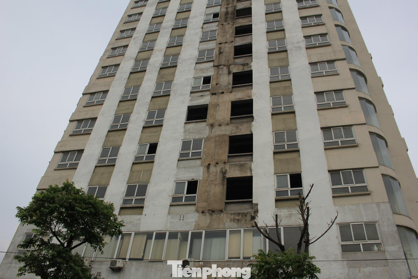 Sở Xây dựng phải cung cấp các thông tin, dữ liệu về chứng chỉ môi giới BĐS đã cấp trong kỳ còn Sở Tài nguyên và Môi trường chia sẻ, cung cấp thông tin, dữ liệu về tình hình cấp Giấy chứng nhận quyền sử dụng đất.