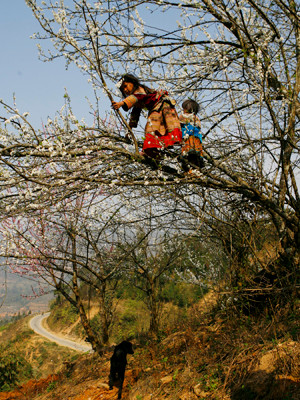 Mầm xuân ở Lũng Pô. Mầm xuân ở Lũng Pô