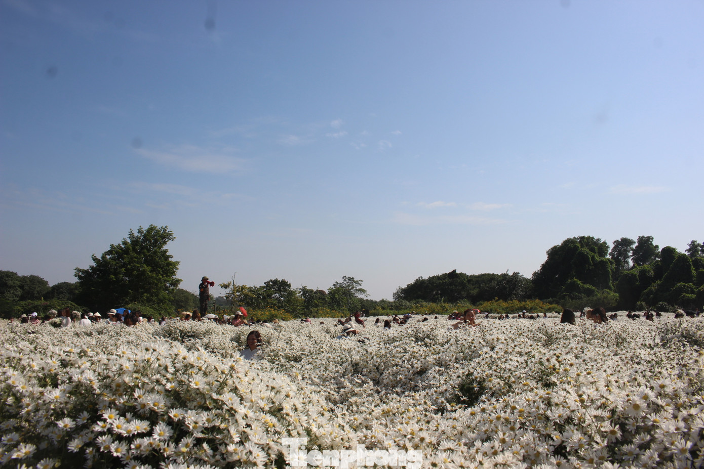 Nằm tại ngõ 264 Âu Cơ, từ nhiều năm nay vườn hoa bãi đá sông Hồng là điểm đến thường xuyên của hàng nghìn du khách, nhất là mỗi dịp cuối tuần. Bởi lẽ khu vực này được đầu tư hệ thống cảnh quan khá hấp dẫn, với vườn hoa theo mùa, mô hình lâu đài, khu cắm trại và dịch vụ ăn uống, cho thuê đồ và chụp ảnh.