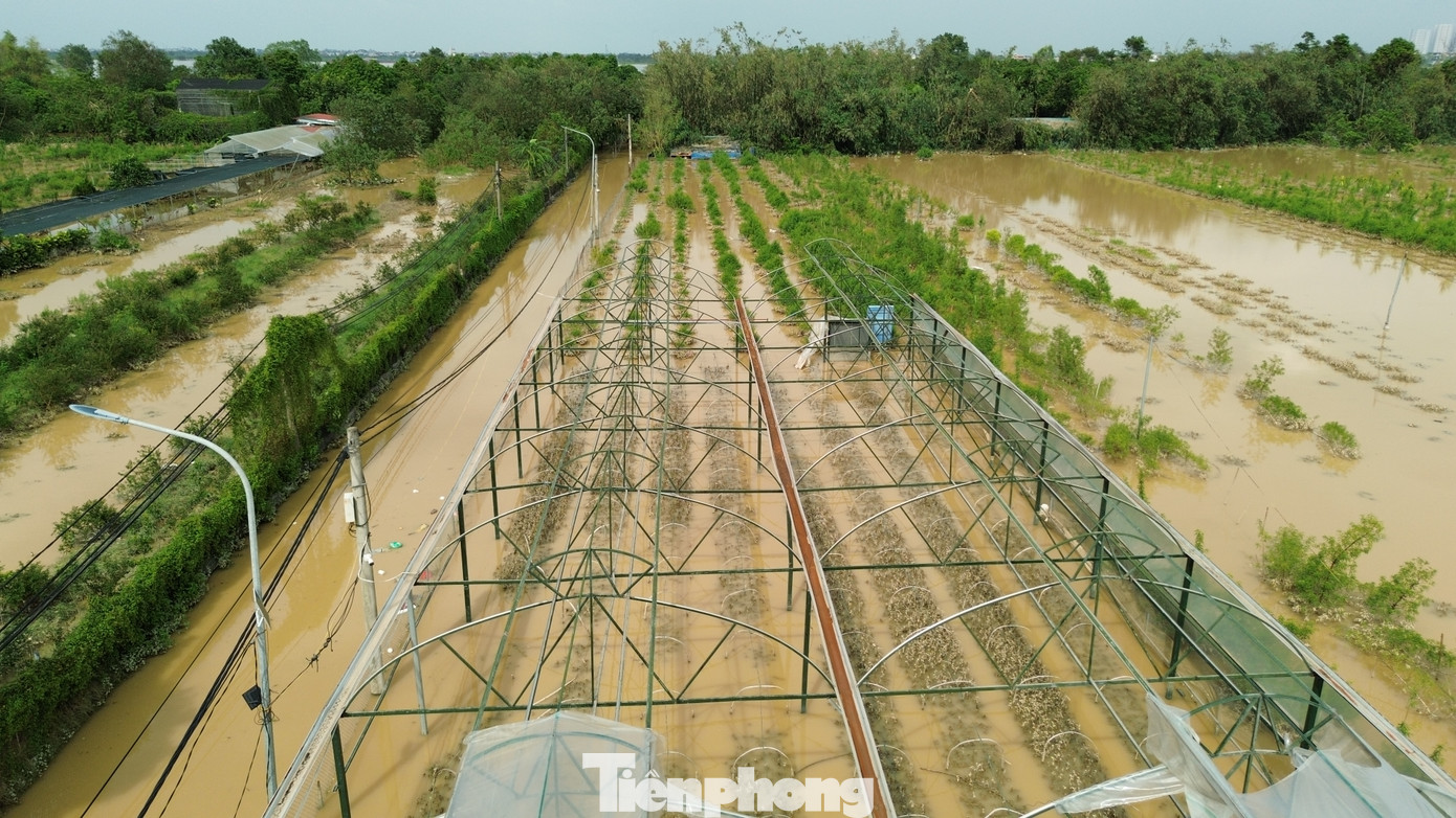 Liên quan đến tình trạng lũ lụt hiện tại, sáng nay (13/9), lũ trên thượng lưu các sông miền Bắc đã giảm về dưới mức báo động 1 như: sông Thao tại Yên Bái, Bảo Hà, Lào Cai, sông Lô tại Tuyên Quang. Tuy nhiên, tình hình vẫn diễn biến rất phức tạp trên các dòng sông ở trung du, đồng bằng Bắc Bộ.
