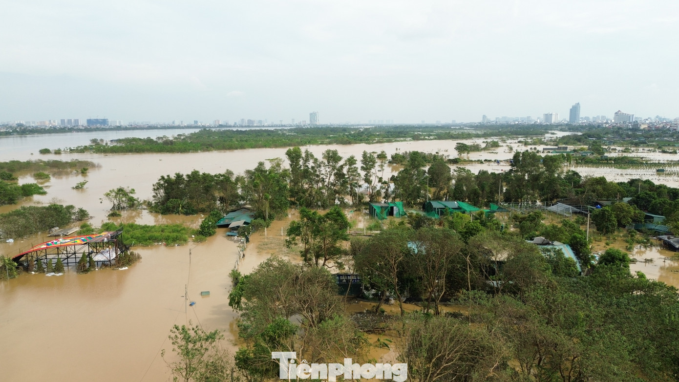 Chia sẻ với phóng viên, nhiều người dân cho biết, với việc ngâm trong nước lũ nhiều ngày, toàn bộ hoa của bãi đá sông Hồng sẽ bị hủy hoại hoàn toàn, không khác gì "xóa sổ". Trong khi đó, các hạng mục khác phần vì bị lũ cuốn trôi, phần còn lại cũng phải sửa chữa đến 80% hoặc thay mới hoàn toàn.