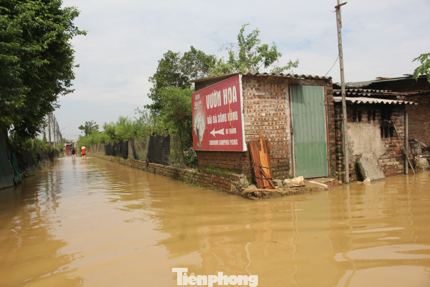 Do đó, thời gian tới du khách chưa thể đến vườn hoa bãi đá sông Hồng vui chơi và chụp ảnh.