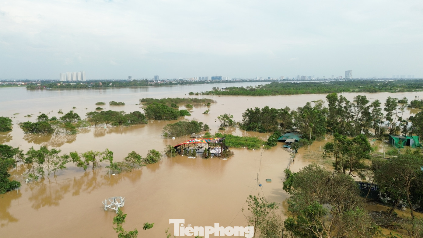 Chia sẻ với phóng viên, nhiều người dân cho biết, với việc ngâm trong nước lũ nhiều ngày, toàn bộ hoa của bãi đá sông Hồng sẽ bị hủy hoại hoàn toàn, không khác gì "xóa sổ". Trong khi đó, các hạng mục khác phần vì bị lũ cuốn trôi, phần còn lại cũng phải sửa chữa đến 80% hoặc thay mới hoàn toàn.