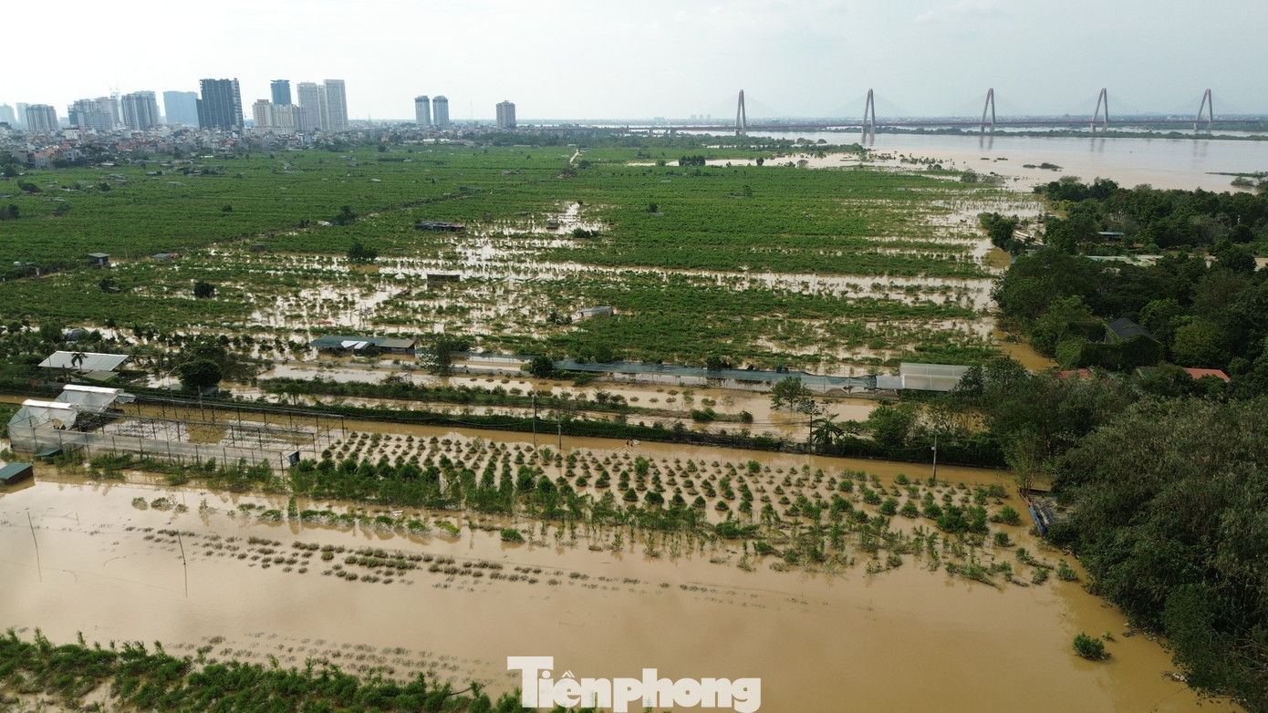 Lũ trên sông Hồng tại Hà Nội đã giảm trong đêm qua. Tính đến 6h sáng 13/9, theo số liệu của Ban Chỉ huy phòng chống thiên tai và tìm kiếm cứu nạn thành phố Hà Nội, mực nước lũ là 10,05m, dưới báo động 2 là 45cm, đồng thời giảm 1,32m so với thời gian đạt đỉnh vào đêm ngày 11/9. Dự báo ngày và đêm nay, lũ trên sông Hồng xuống dần dưới mức báo động 1.